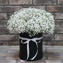 Цветочная композиция из Гипсофила в шляпной коробке в Боголюбово