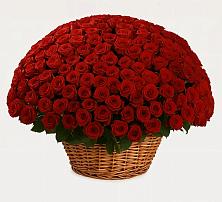 Премиум букет из: Розы #REPLACE_PRED# Боголюбово